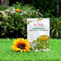 ราคา เมล็ดฟักทองอบเกลือ 25 กรัม (635144098)