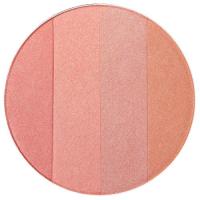 ราคา Oriental Princess Beneficial Gradation Compact Cheek Colours 12 g (14114981831)