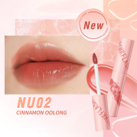 ราคา PINKFLASH Watery Glam Lip Gloss Super Glossy Shiny Lip Tint High Quality Moisturizing Non Sticky Long Lasting (10905442780)