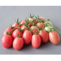 ราคา เมล็ดพันธุ์ มะเขือเทศสีดา มะเขือเทศส้มตำ ตัวเลือก 90 1000 เมล็ด 10 เเถม 1 คละได้ (8129756151)