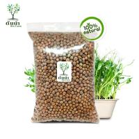 ราคา เมล็ดต้นอ่อนโต้วเหมี่ยว ต้นอ่อนถั่วลันเตา Organic100 เมล็ดพันธุ์ผัก เมล็ดสำหรับเพาะงอกพร้อมปลูก ต้นอ่อนโต้วเหมี่ยว (15809644278)
