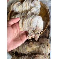 ราคา หมึกผ่า A6 ตัวขาวใส ไม่เค็มไม่ขม สดใหม่ อร่อยสุดๆ (17189434727)