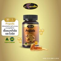 Auswelllife Propolis อาหารเสริมลดอาการภูมิแพ้ 60 แคปซูล