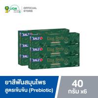 ราคา Salz King Herb ยาสีฟัน เกลือสมุนไพร สูตรเข้มข้น ซอลส์ คิงเฮิร์บ 40 กรัม 6 หลอด (16493742254)