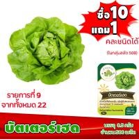 ราคา ซื้อ10แถม1 ฟรีคู่มือ เมล็ดพันธุ์ บัตเตอร์เฮด BUTTERHEAD 0 5กรัม ประมาณ 500เมล็ด ทำมะชาดฟาร์ม ผักสลัด เมล็ดพันธุ์สลัด เมล็ดสลัด เม็ดผักสลัด (2490314937)