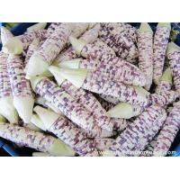 ราคา รวมเมล็ดพันธุ์ข้าวโพด เมล็ดพันธุ์ข้าวโพด ข้าวโพดหวาน ข้าวโพดเทียนรวม ข้าวโพดข้าวเหนียวดำ นิลสยาม หวานละไม (8239058230)