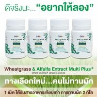 ราคา ขายราคาส่ง ผักเม็ด 4 กระปุก 120 เม็ด Wheatgrass Alfalfa Extract Multi Plus Q10 (10542861356)