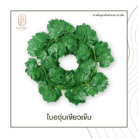 ราคา เถาวัลย์ใบไม้ปลอม ใบไม้ประดิษฐ์ ยาว 220 ซม พวงใบไม้ พวงเถาวัลย์ประดิษฐ์ ใบองุ่น พลูด่าง ใบเมเปิ้ล ใบแตงโม ประดิษฐ์ ตกแต่งบ้าน ตกแต่งสวน (7472016763)