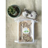 ราคา รถด่วนอบกรอบ กรอบ ใหม่ อร่อย ท้าให้ลอง หนอนรถด่วน หนอนไม้ไผ่อบกรอบ น้ำหนัก 100 กรัม Baked worms 100 g (12281416065)