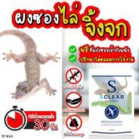 ราคา ผงซองไล่จิ้งจก SClear แถมฟรี ที่ติดผนังในซอง ไล่จิ้งจก ได้ทั้ง แบบติดผนัง แบบวาง ที่ไล่จิ้งจก ไล่จิ้งจกแบบไม่ทำร้าย ธรรมชาติ 10 ซอง (720668910)