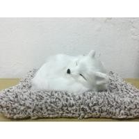 ราคา ส่งฟรี ตุ๊กตาดับกลิ่น ตุ๊กตาหมา ตุ๊กตาดูดกลิ่นอับ ตุ๊กตาน้องหมาดูดกลิ่นในรถ ดับกลิ่น ถุงปรับอากาศ ตุ๊กตาน้องหมา ตุ๊กตาดูดกลิ่น (10398768522)