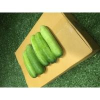 ราคา แตงกวาสด ผักผลไม้สด (16484803312)