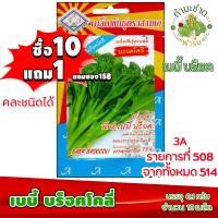 ราคา 10แถม1 3A เมล็ดพันธุ์ เบบี้บร็อคโคลี่ 10 เมล็ด เบบี้บร็อค เมล็ดพันธุ์สามเอ BABY BROCCOLIเมล็ดผักสวนครัว เมล็ดพืช (2355394136)
