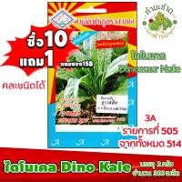 ราคา 10แถม1 3A เมล็ดพันธุ์ ไดโนเคล 300 เมล็ด คะน้าไดโนเคล เมล็ดพันธุ์สามเอ DINOSAUR KALE เมล็ดผักสวนครัว เมล็ดพืช (2353706662)
