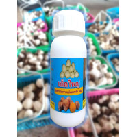 ราคา ฮอร์โมนเห็ดใหญ่ สูตรเห็ดฟาง ขนาด 500 ML ผสมน้ำ 250 ลิตร ฉีดโชยฝอยไปที่แผงเห็ด ดอกเห็ดจะใหญ่ขึ้น มีน้ำหนักขึ้น ไม่ยุบไม่แย้ม ปลอดสารพิษ (13027931838)