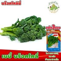 ราคา ส่งKerry แพ็ค 3 ซอง 3A เมล็ดพันธุ์ บร็อคโคลี่ พันธุ์เบบี้ บร็อคโคลี่ ประมาณ 10 เมล็ด ซอง ตราสามเอ เมล็ดพันธุ์ผัก เมล็ดผัก เมล็ดพืช ผักสวนครัว ปลูกผัก (2690196426)