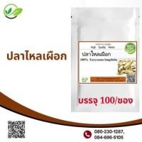 ราคา Tongkat Ali รากปลาไหลเผือก ปลาไหลเผือก ผงแท้100 ไม่ผสมชนิดแคปซูล ปลาไหลสีขาว โพธิ์พญา บรรจุ 100 (16477341586)