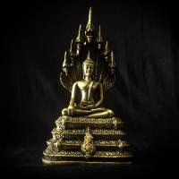 ราคา พระนาคปรก พระประจำวันเสาร์ สีทองเก่าหน้าตัก 3 นิ้ว เนื้อเรซิ่นเกรดพรีเมี่ยม งานจริงสวยมาก มีบริการเก็บเงินปลายทาง (9945096870)