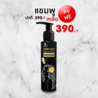 ราคา แชมพูดาวเรือง ทรีทเม้นท์ดาวเรือง Oil Serum ไฉไล ครบชุด 840 บาท Chai lai Calendula Hair Treatment ทรีทเมนต์ผมดาวเรือง ขนาด150 300 15 ml (12285653223)