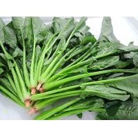 ราคา เมล็ดพันธุ์ ปวยเล้ง ปวยเล้งญี่ปุ่น 350 เมล็ด 10 เเถม 1 คละได้ (8786120207)