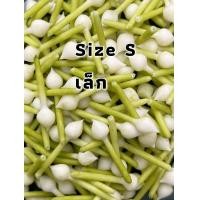 ราคา พร้อมส่ง พุดดิน พุดดินปั้นมือ ดอกพุดปลอม30ดอก ร้อยตาข่าย มีรูร้อยเข็ม งาน Hand Made ดอกพุดDIY (13211899220)