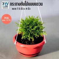 ราคา กระถางต้นไม้พลาสติกแบบแขวน พร้อมจานรอง มี 3 สี ขนาด 7 5 นิ้ว ราคาถูก ราคาโรงงาน กระถางต้นไม้ กระถางพลาสติก กระถางแบบแขวน TMN Hubs (3988842043)