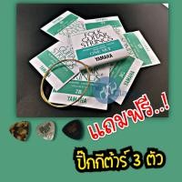 ราคา สายกีตาร์โปร่ง YAMAHA รุ่น FS550 ของแท้ Made in Japan 1 ชุด 6 เส้น ฟรี ปิ๊ก Gibson 3ตัว (9665991425)