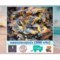 ราคา หอยแมลงภู่ตากแห้ง หอยแมลงภู่ หอยแมลงภู่แห้ง 500 กรัม แม่กลอง อาหารทะเลแห้ง อาหารทะเลแปรรูป สินค้าแห้ง ส่งฟรี (7770834984)