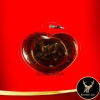 ราคา พระเครื่อง ม้าเสพนางของหลวงพ่อครูบาวัง พรหมเสโน แช่น้ำมันจันทน์ ฝังตะกรุด วัดบ้านเด่น จ ตาก เมตตามหาเสน่ห์ ค้าขาย เลี่ยมกรอบพลาสติก (14078833032)