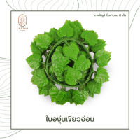 ราคา เถาวัลย์ใบไม้ปลอม ใบไม้ประดิษฐ์ ยาว 220 ซม พวงใบไม้ พวงเถาวัลย์ประดิษฐ์ ใบองุ่น พลูด่าง ใบเมเปิ้ล ใบแตงโม ประดิษฐ์ ตกแต่งบ้าน ตกแต่งสวน (7472016768)