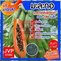 ราคา ส่งฟรี เมล็ดมะละกอพันธุ์แขกดำ มีให้เลือกตั้งแต่แพ็ค 20 100เมล็ด Papaya seeds ปลูกง่าย ต้นเตี้ย ลูกดก สุกหวาน เนื้อแดง น้ำหนักดี (3401840075)
