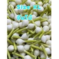 ราคา พร้อมส่ง พุดดิน พุดดินปั้นมือ ดอกพุดปลอม30ดอก ร้อยตาข่าย มีรูร้อยเข็ม งาน Hand Made ดอกพุดDIY (13573772473)