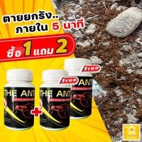 ราคา โปร 1 แถม 2 ได้ 3 กระปุก The Ant ผงกำจัด มด ปลวก แมลงสาบ สูตรตายยกรัง ภายใน 5 นาที (16522564450)