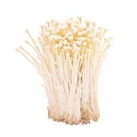 ราคา เห็ดเข็มทอง สด สะอาด รับประกันคุณภาพ (15061519115)