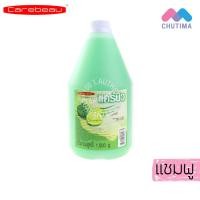ราคา แคร์บิว แชมพู ครีมนวด บำรุงเส้นผม Carebeau Shampoo Conditioner 1000 g (2040048244)
