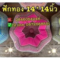 ราคา หมอนฟักทอง ซื้อ 1 แถม 1 ขนาด 12 นิ้ว 12 นิ้ว รับไปเลย 2 ใบ (11574096750)