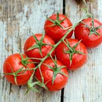 ราคา เมล็ดพันธุ์ มะเขือเทศเชอรี่แดงทรงกลม สวีทปริ้นเซส Red Cherry Tomato เมล็ดพันลูกผสม ปลูกได้ทุกพื้นที่ (13033480398)