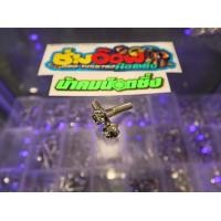 ราคา น๊อตโช้คหลังมีโอ ฟีโน่ นูโว แบบโช้คเดียวและโช้คคู่ สำหรับโช้คแต่ง งานน้าคมน๊อตซิ่งแท้ (16275627825)