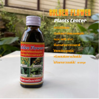 ราคา Plants Center พร้อมส่ง Golden flowers ยากันรา ยาเร่งราก ยากันแมลง ราสนิม เร่งดอก ปุ๋ย แคคตัส กระบองเพชร ป้องกันแมลง ชนิดน้ำ 100 250 CC (13648279971)