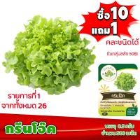 ราคา ซื้อ10แถม1 ฟรีคู่มือ เมล็ดพันธุ์ กรีนโอ๊ค GREEN OAK 0 5กรัม ประมาณ 500เมล็ด ทำมะชาดฟาร์ม ผักสลัด เมล็ดพันธุ์สลัด เมล็ดสลัด เม็ดผักสลัด (2484864035)