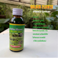 ราคา Plants Center พร้อมส่ง Golden flowers ยากันรา ยาเร่งราก ยากันแมลง ราสนิม เร่งดอก ปุ๋ย แคคตัส กระบองเพชร ป้องกันแมลง ชนิดน้ำ 100 250 CC (13648279972)