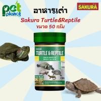 ราคา 50g อาหารเต่า Sakura Turtle Reptile อาหารเต่าซากุระ อาหารสำหรับ เต่า เต๋าน้ำ ตะพาบ เต่าญี่ปุ่น อาหารเต่า ยี่ห้อซากุระ (14195655045)