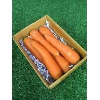 ราคา แครอทออสเตรเลีย 1 กิโล คั้นน้ำอร่อย แครอทนำเข้า แครอทนอก แครอทหวาน Carrot (13425791523)