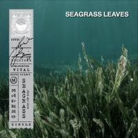 ราคา KARMAKAMET Original Room Perfume Diffuser Single คามาคาเมต ก้านไม้หอมกระจายกลิ่น น้ำหอมบ้าน ก้านไม้หอม น้ำหอมปรับอากาศ บ้านหอม (1717964765)