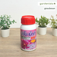 ราคา ปุ๋ยกล้วยไม้ นาโน เม็กก้า ขนาด 250ซีซี (17362146364)