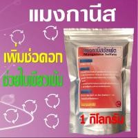 ราคา แมงกานีสซัลเฟต ผงจุลธาตุแมงกานีส 32 ช่วยสร้างคลอโรฟิลล์ ใบพืชสีเขียวขึ้น สังเคราะห์แสงได้ดี เพื่มจำนวนช่อดอก 1 กิโลกรัม (12491061031)