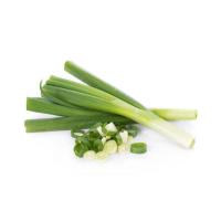 ราคา เมล็ดพันธุ์ กระเทียมต้น Leek กระทียมต้น ปลูกกระเทียมต้น เมล็ดกระเทียมต้น 40 100 เมล็ด ซื้อ 10 แถม 1 คละได้ (17008871919)