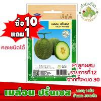 ราคา ซื้อ10แถม1 เมล็ดพันธุ์ เมล่อน ปริ้นเซส Melon princess ประมาณ 30เมล็ด เจียไต๋ เมล็ดพันธุ์พืช เมล็ดพันธุ์ผัก เมล็ดผัก เม็ดผัก ผักสวนครัว พืชผัก (2801422695)