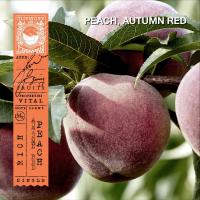 ราคา KARMAKAMET Le Marche Aux Fruits Padang Bazaar Perfume Paper Bag คามาคาเมต ซองหอม ซองหอมปรับอากาศ ถุงหอม ถุงหอมปรับอากาศ กลิ่นหอม (821912858)
