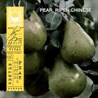 ราคา KARMAKAMET Original Room Perfume Diffuser Single คามาคาเมต ก้านไม้หอมกระจายกลิ่น น้ำหอมบ้าน ก้านไม้หอม น้ำหอมปรับอากาศ บ้านหอม (1717964756)